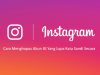 Cara Menghapus Akun IG (Instagram) Yang Lupa Kata Sandi Secara Permanen Lewat Hp Dan Dekstop